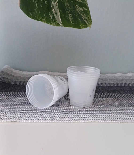 Klare kleine Kunststoff-Pflanztöpfe für Vermehrung & DIY-Gartenarbeit (6 cm) - Transparente Kindergartentöpfe mit Drainage, Bastelzubehör für Pflanzenliebhaber