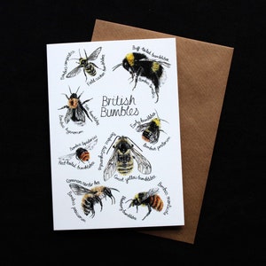 Britse Bumbles-kaart***UITVERKOOP***
