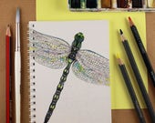 Dragonfly Notebook