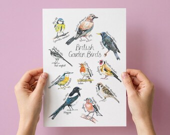 British Garden Birds Art Print (A5, A4 or A3)