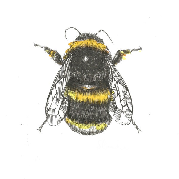 Bumblebee Art Print