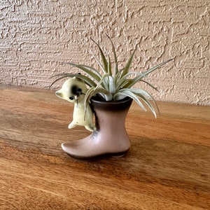 May include: A ceramic boot planter with a small white cat figurine peeking out of the top. The boot is brown and has a light brown glaze. A green air plant is growing inside the boot.