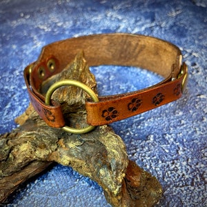 Hand tooled leather dog collar with labradorite and red fern Stylish artisan pet accessories by Gemsplusleather image 4