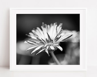 Digital Black and White Large Daisy Photo Art Download,Macro Spring Floral Print,Nursery Flower Wall Decor,Cozy Room Decor,Modern Home