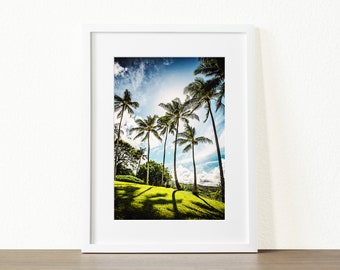 Digital Palm Trees Photo Download,Tropical Plant Print,Dramatic Light,Bright Sunshine,High Contrast,Big Wall Art,Garden Decor,Modern Home