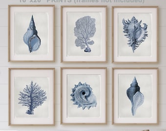 Vintage Nautilus Shell Prints: Navy Coastal Wall Art Set