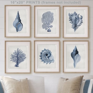 Op de afbeelding: Een woonkamer interieur met een witte bank, twee kussens, een houten salontafel, een staande lamp en een set van zes ingelijste prints van blauwe schelpen en koraal op een witte schiplap muur. De prints zijn 40,64 x 50,8 cm.