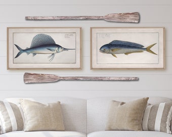 Printable Fish Wall Art SET | Nautical Antique Prints  Downloadable DIGITAL |