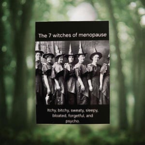 Puede incluir: Imagen en blanco y negro de siete mujeres vestidas de brujas. El texto dice "Las 7 brujas de la menopausia". Debajo, el texto enumera los s&iacute;ntomas: "Con picaz&oacute;n, malhumorada, sudorosa, somnolienta, hinchada, olvidadiza y psic&oacute;pata."