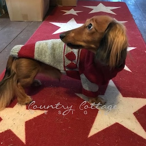 Patrón de abrigo para perro Jussi a máquina