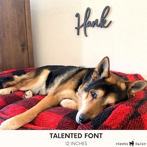 Pet Name Signs Wooden Dog Name Plaque Kennel Name Sign Dog Signs for Home Decor Dog Memorial Sign Pet Gifts Dog Lover Gift for Her Dog Mom