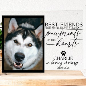 Personalized Pet Memorial Gift Dog Loss Gift Memorial Frame for Pet Bereavement Gift Cat Loss Gift Remembrance Sympathy Picture Frame