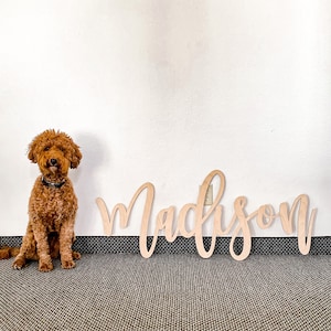 Dog Name Sign Pet Name Sign Dog Mom Gift Pet Lover Gift Custom Dog Sign Dog Wall Art Dog Decor Wooden Wall Art Pet Wood Sign Dog Room Decor