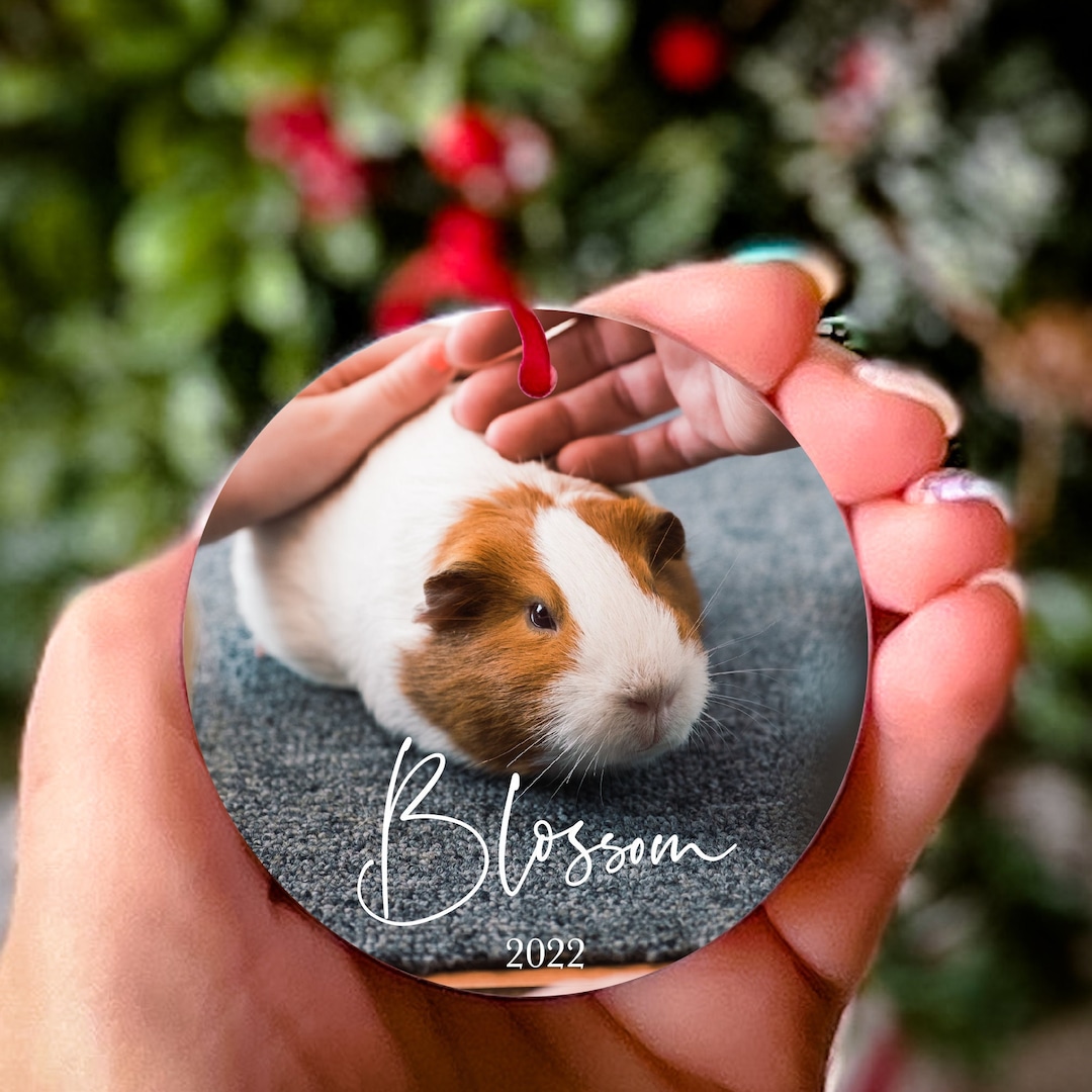 Guinea Pig Christmas Ornament Guinea Pig Gifts for Her Guinea Pig Lover