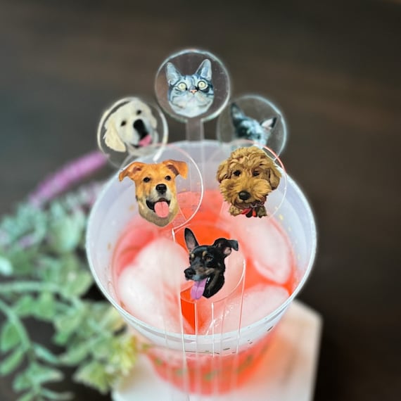 Whipped Cream Dairy Queen Pup Cup Price Wedding Swizzle Sticks