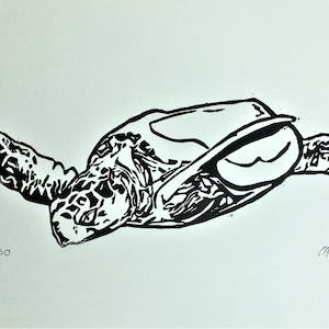 Sea Turtle Linoleum Block Print
