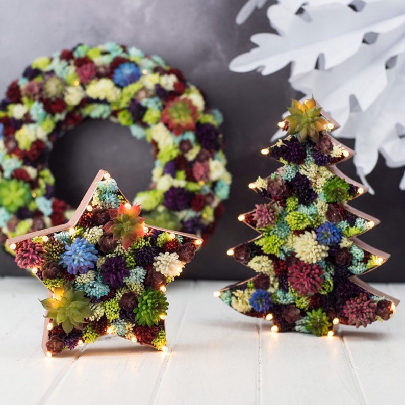 Christmas Tree Decoration Succulent Light Room Decor Festive Holiday Gift