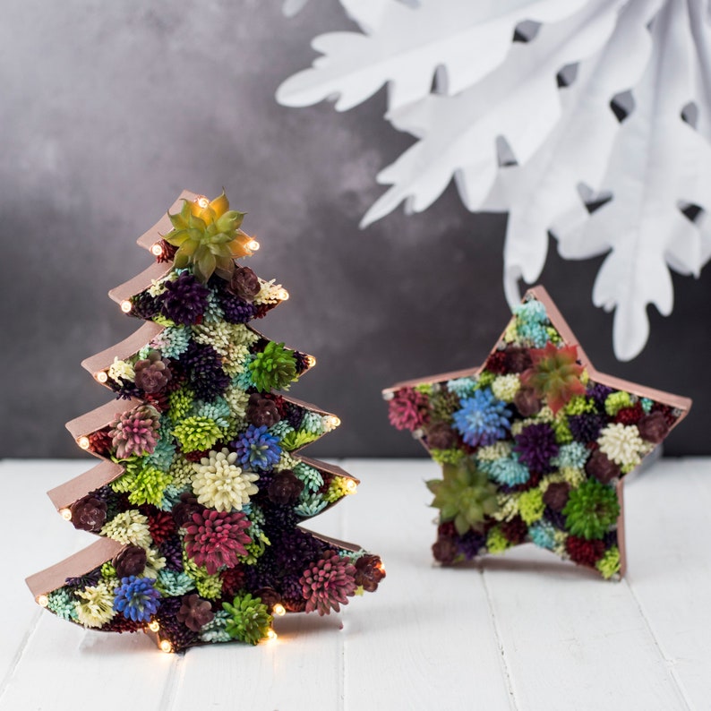 Christmas Tree Decoration Succulent Light Room Decor Festive Holiday Gift