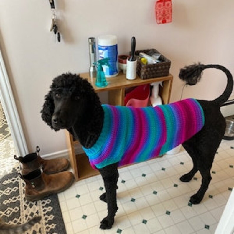 Dog Jacket, Dog Sweater, Crocheted Dog Sweater, Polo Stripe Dog Sweater, Dog Coat, Sweaters for Dogs image 1