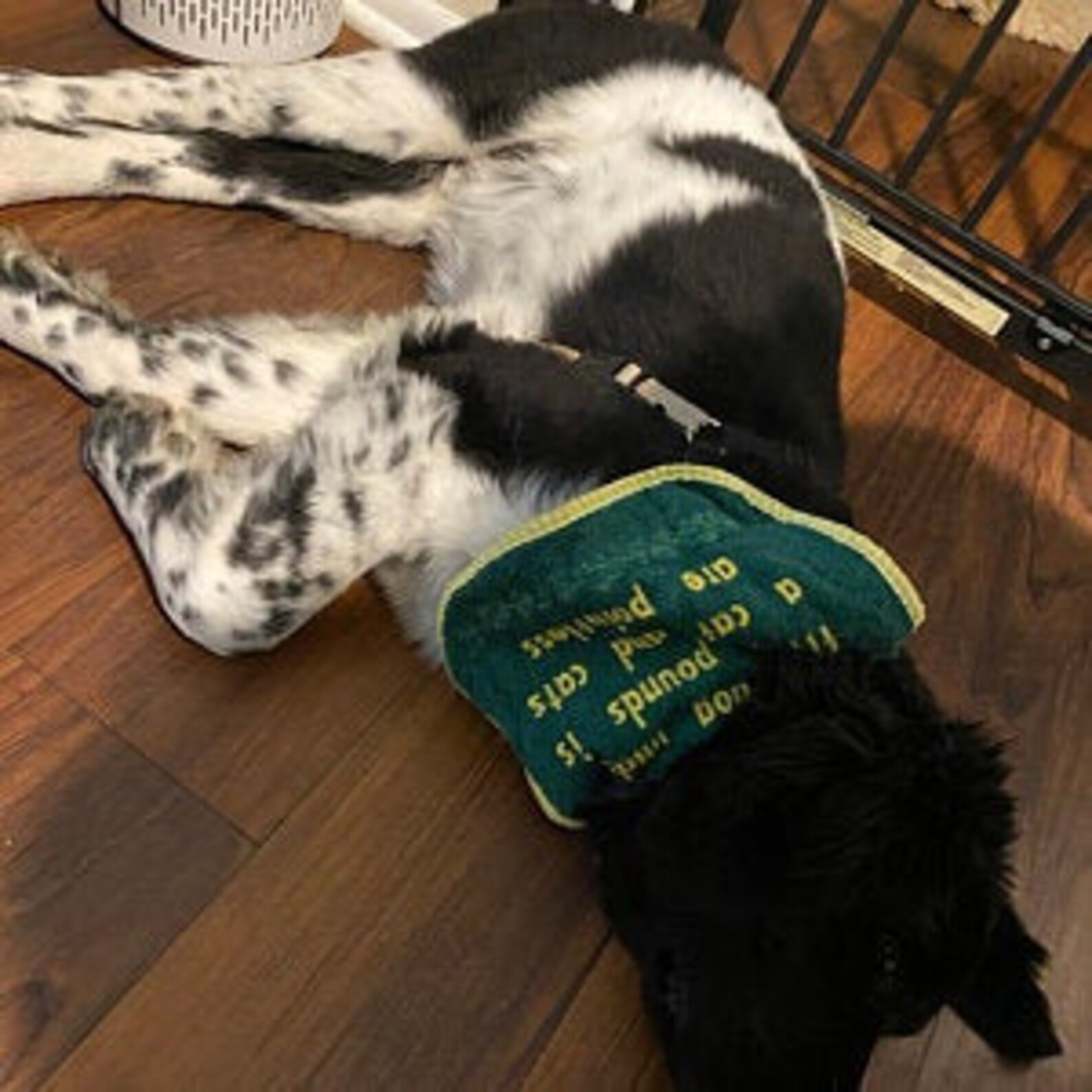 Newfie Bibs St Bernard Bibs Big Dog Bibs Dog Bibs for Large Etsy