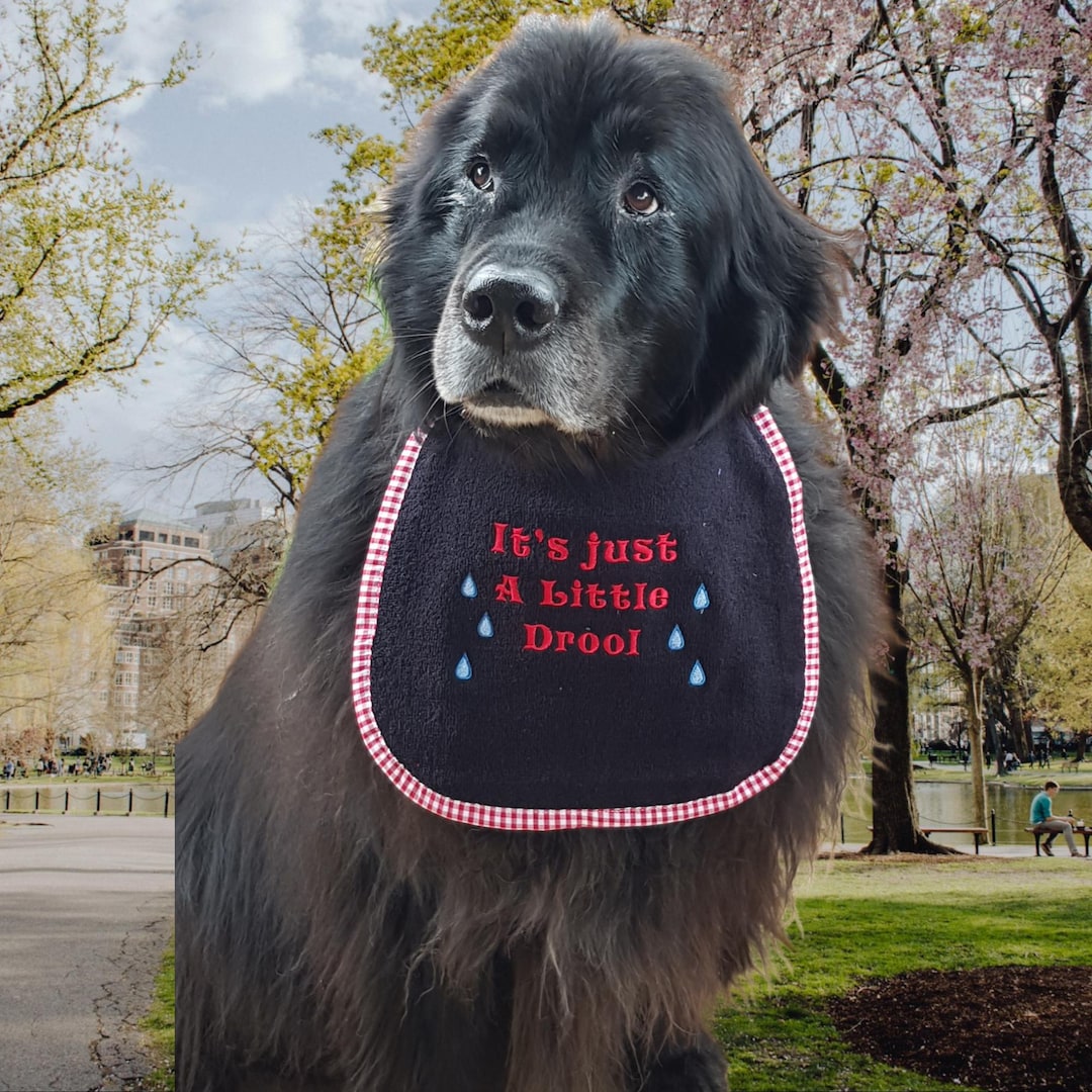 Śliniak dla psa: bawełniany frotte, elastyczny ściągacz na szyję