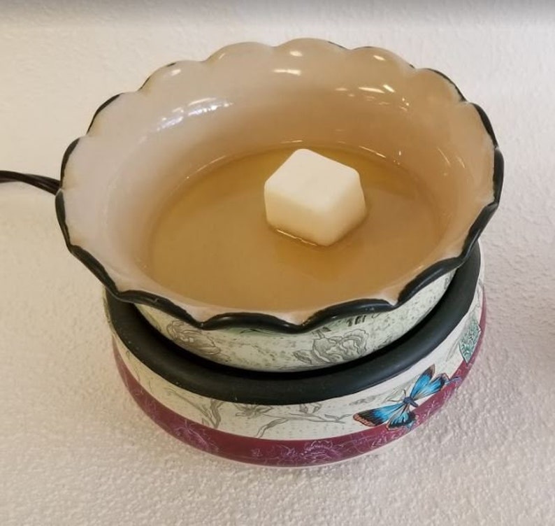 Eartherella CINNAMON Natural Soy Wax break-apart tart melts stocking stuffer 2.7 oz.