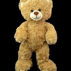 May include: A light brown teddy bear with a brown nose and smiling mouth. The bear is standing with its paws together.