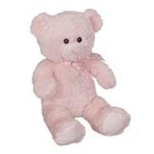 Plush pets  for our Tee shirts and Cheer Outfits