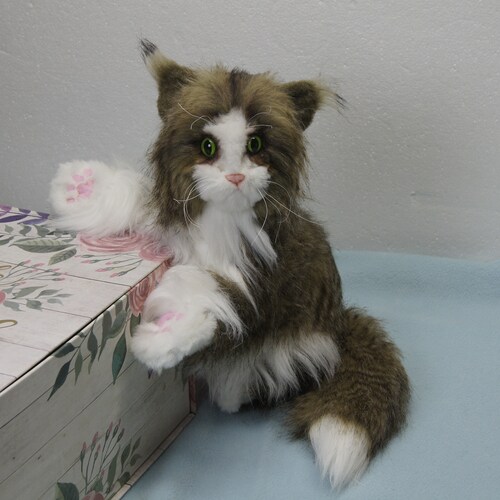 Norwegian Forest Cat Realistic Staffed Animal Cat Life Size Hand Made Collectable shops Animal