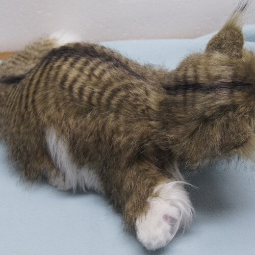 Norwegian Forest Cat Realistic Staffed Animal Cat Life Size Hand Made Collectable shops Animal