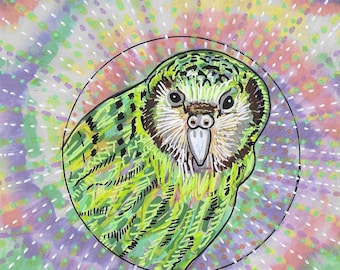 Original Kākāpō Bird Painting, Colourful Wildlife Art, Mounted Illustration