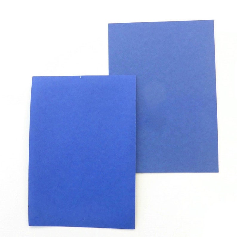 Budgie painting on paper original budgie art print hand image 8