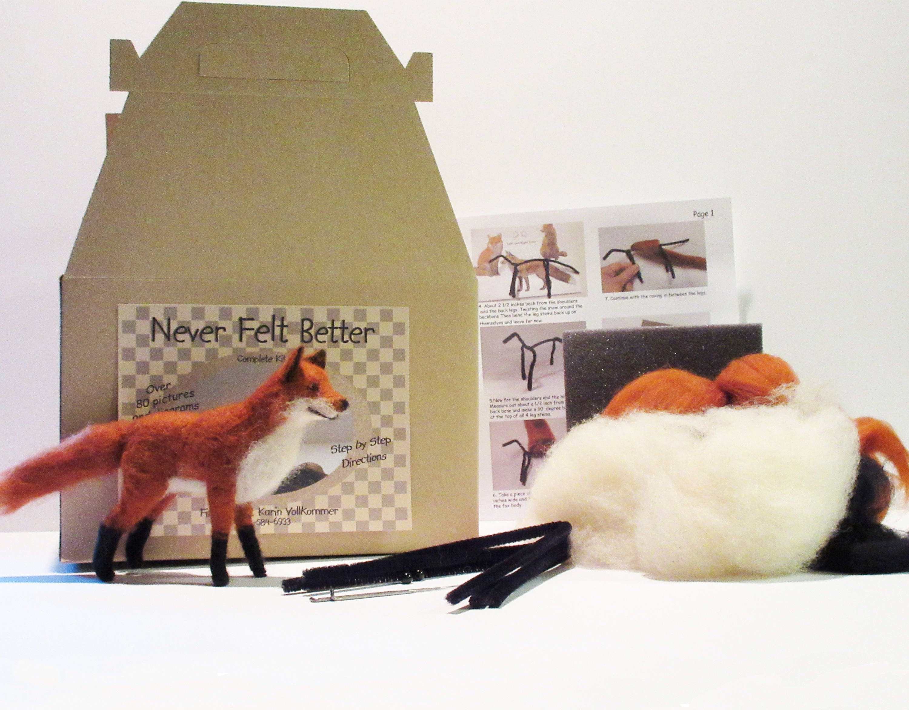 Needle Felting Kit Beginner DIY Craft Kit for Adults Christmas Gift Felting  Starter Kit 