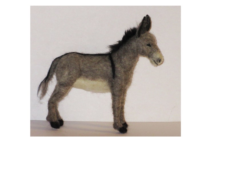 Donkey Felting Kit wDVD