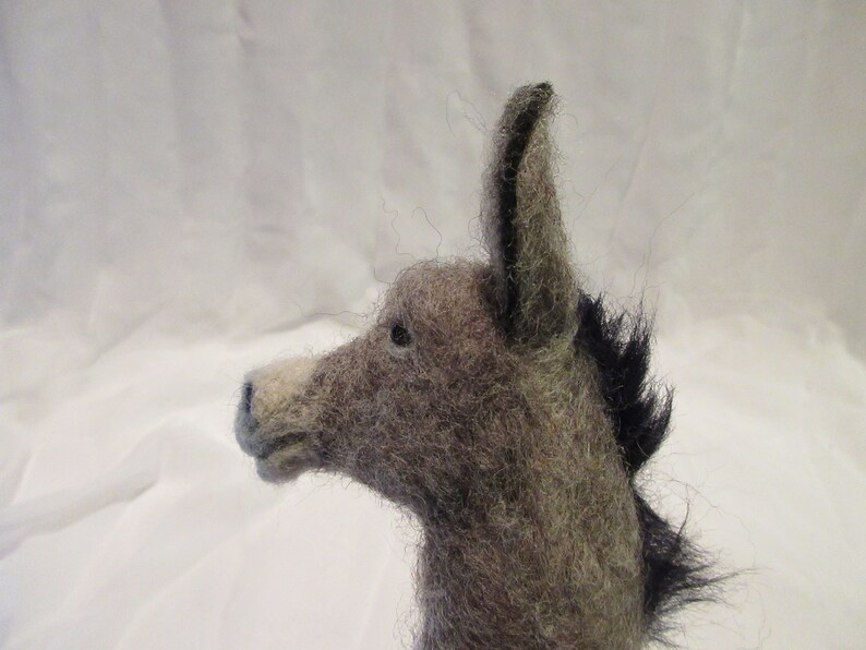 Donkey Felting Kit wDVD