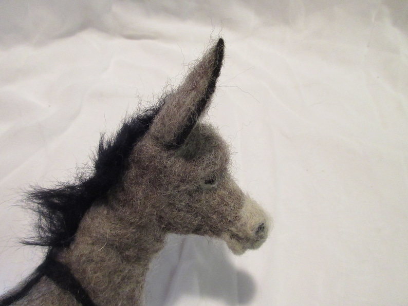 Donkey Felting Kit wDVD