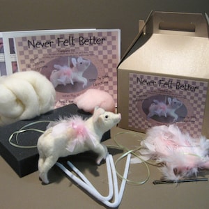 May include: A craft kit for making a felt pig wearing a pink tutu. The kit includes wool, a foam pad, needles, and instructions. The box is labeled "Never Felt Better".