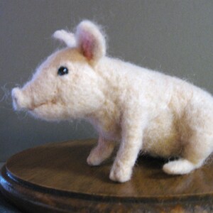 Pig Needle Felting Kit image 4