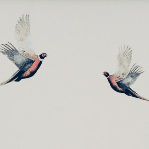 Flying Pheasants, Bird Art Print, Bird Illustration, limited edition print of original drawing image 1