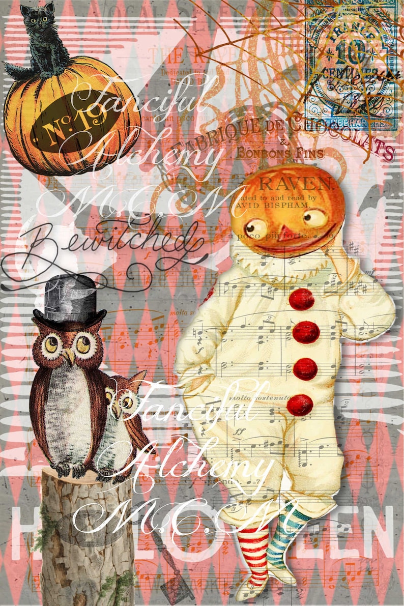 Puede incluir: Una ilustraci&oacute;n vintage de Halloween con una calabaza tallada con una cara blanca y botones rojos, un gato negro sentado en una calabaza y dos b&uacute;hos posados en un toc&oacute;n de &aacute;rbol. El fondo es un patr&oacute;n rosa y gris con notas musicales y el texto "Fanciful Alchemy M.C. Bewitched".