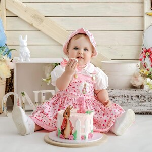 Peter Rabbit Flopsy Bunny Baby Girls Dress Personalised Personally Designed Outfit Top Quality and Fully Lined. Etsy Canada