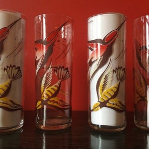 Vintage Set of 4 Highball Tom Collins 1950s Cocktail glasses Hummingbirds Mid Century 1950 Drinking MCM