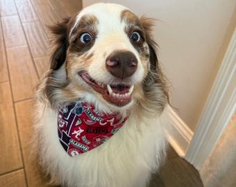 All Sport Teams House Divided Pet Bandanna - Handmade