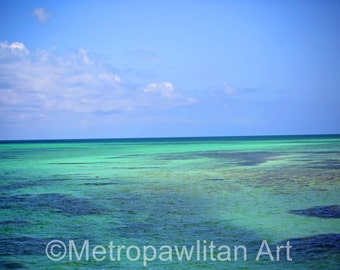 8x10 photograph Florida Keys Ocean