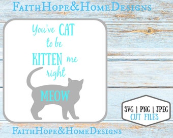 You've Cat to be Kitten Me Right SVG, Cat Lover Quote (Digital Download)