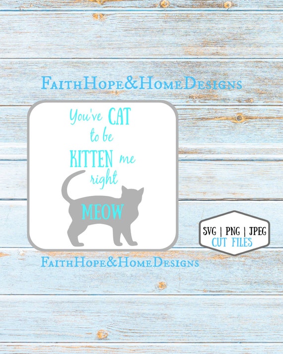 You've Cat to be Kitten me Quote SVG PNG File for cutting with Cricut Silhouette, Cat Lover's Quote, pets, cat life
