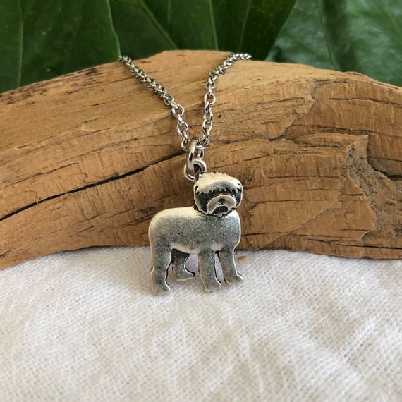 XIXLES Dog Necklace for Women 925 Sterling Silver Love Heart Dog Pendant  Necklaces Cute Dog Puppy Jewelry Gifts for Birthday Christmas Dog Lovers  Women Girls