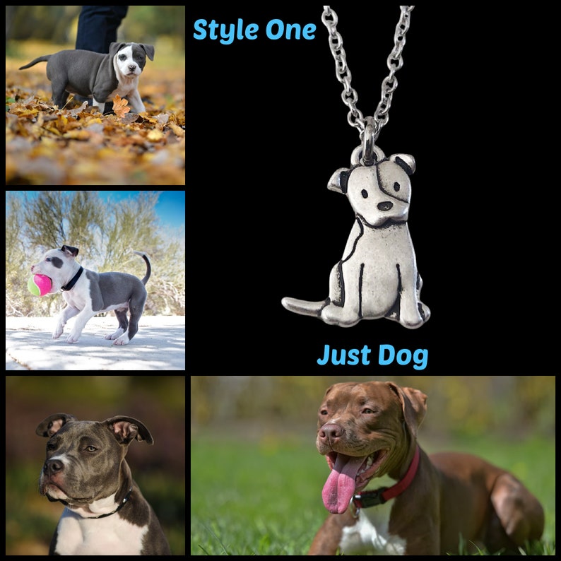Personalized Pitbull Dog Necklace Pitty Puppy Memorial Jewelry Optional Dog Initial, Birthstone image 4