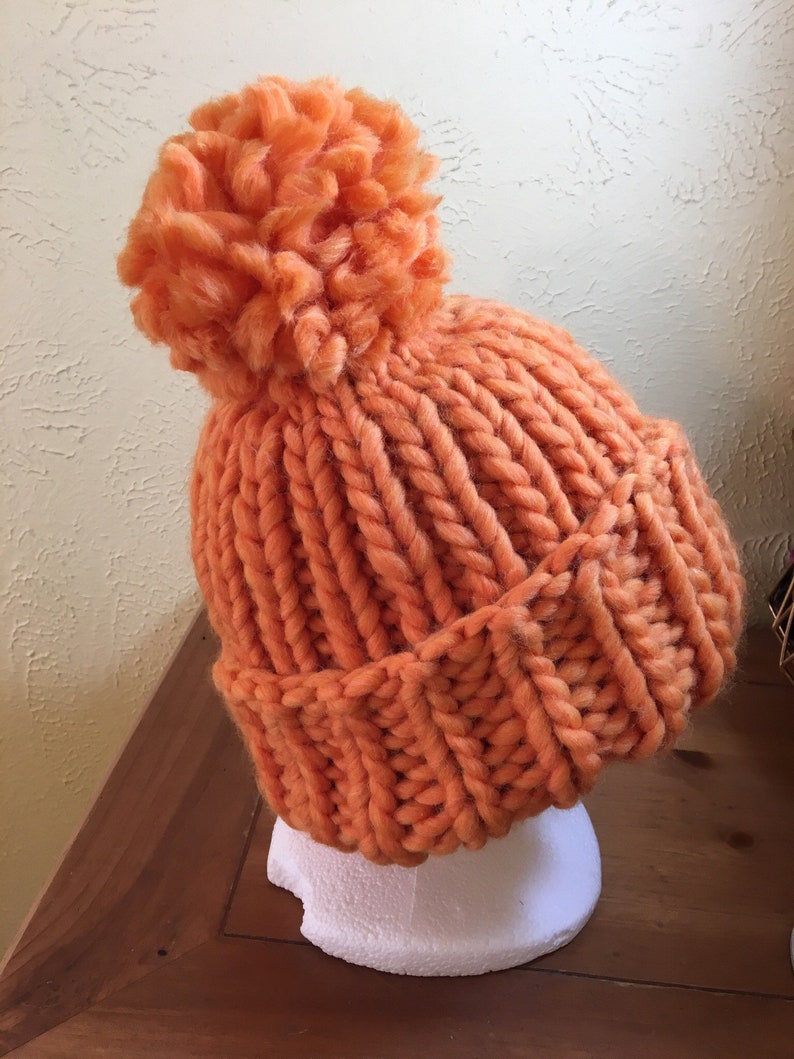Ski Hat