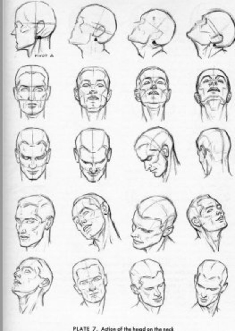 Art of Drawing Head and Hands Andrew Loomis PDF Download Etsy Australia